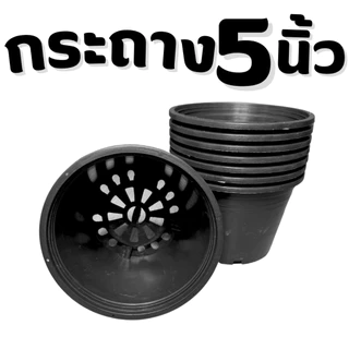 ถ้วยปลูก 5 นิ้ว กระถางปลูกสีดำขนาด 5 นิ้ว (**50ใบ**)