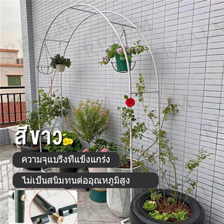 【ของแต่งสวน】ซุ้มไม้เลื้อย ซุ้มกุหลาบเลื้อย240*140*40แข็งแรงมากขึ้น 19mm PE กันสนิม ซุ้มงานแต่ง ซุ้มลูกโป่ง โครงไม้เลื้อย
