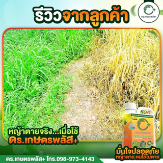 ของแท้ ต้องราคานี้เท่านั้น ผลิตภัณฑ์กำจัดวัชพืชแบบปลอดภัยไร้สารเคมี ปลอดภัยต่อคนใช้งานและสัตว์เลี้ยง 1 แกลลอน