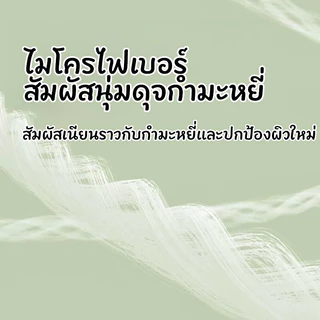 Puddle Jumper แพมเพิส ผ้าอ้อมสำเร็จร แพมเพิสเด็ก ผ้าอ้อมแบบกางเกง ผ้าอ้อมเด็กสำเร็จรูป อ้วนและทารก กางเกงดึง สำหรับรอบเอ