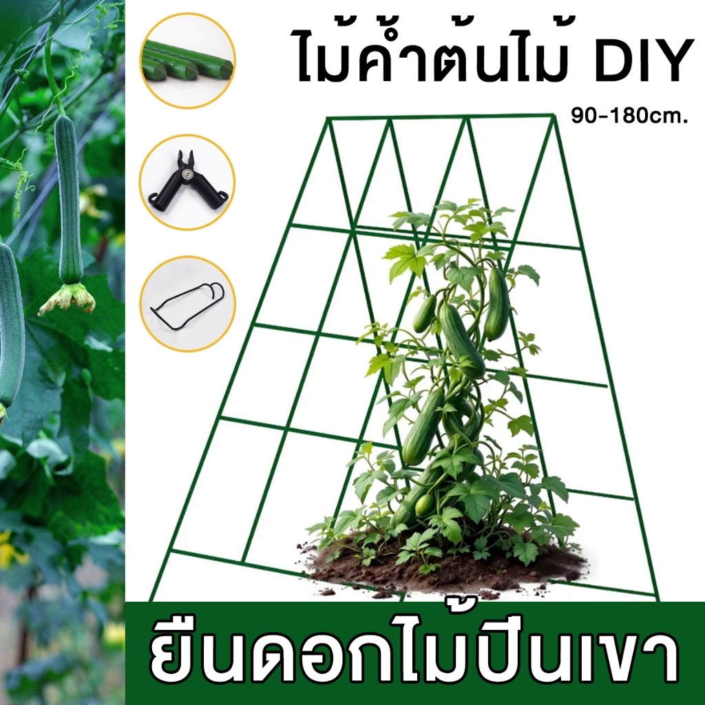 【ใช้ได้ 10 ปี】ไม้ค้ำต้นไม้ DIY เสาค้ำต้นไม้ หลักไม้เลื้อย เสาไม้เลื้อย ไม้ค้ำยันต้นไม้ ยาว90-180ซม.ไม่เสียรูป ไม่เป็นสนิ