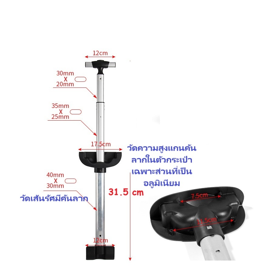 รูปภาพ 2