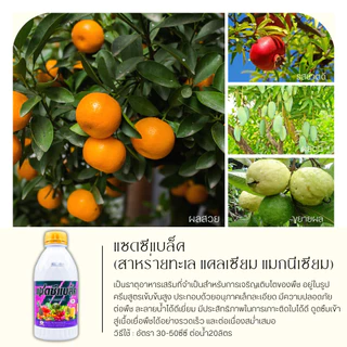 แซดซีแบล็ค 1ลิตร (แมกนีเซียม+แคลเซียม) สูตรเข้มข้น ฟื้นฟูต้น เร่งด่วน แตกรากแตกใบ เร่งเขียว