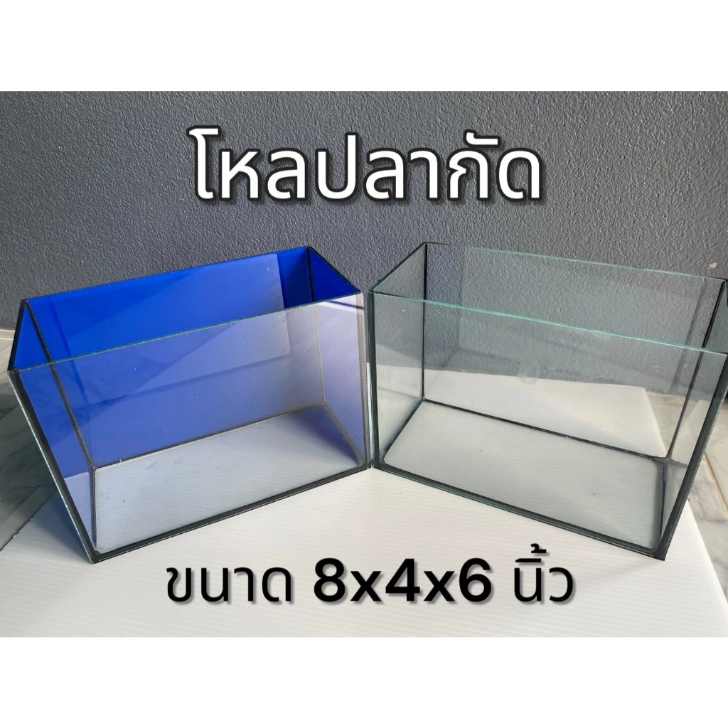 โหลปลากัด ขนาด 8x4x6นิ้ว กระจกหนา 3 มิลลิเมตร โหลปลากัด ตู้ปลาขนาดเล็ก (1ใบ)