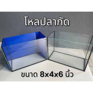 โหลปลากัด ขนาด 8x4x6นิ้ว กระจกหนา 3 มิลลิเมตร โหลปลากัด ตู้ปลาขนาดเล็ก (1ใบ)