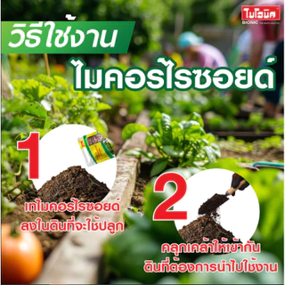 2 ชิ้น Bionic ไมคอร์ไรซา 1000กรัม* เร่งราก เพิ่มความแข็งแรงราก พืชโตไว เร่งผล ป้องกันโรคพืช ไบโอนิค เชื้อราไมคอร์ไรซา