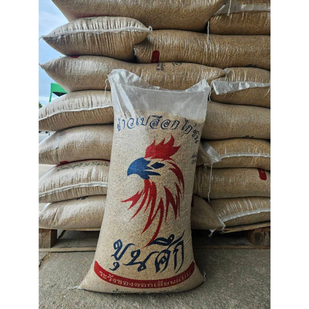 ข้าวเปลือกไก่ชน คัดพิเศษ 30กก.