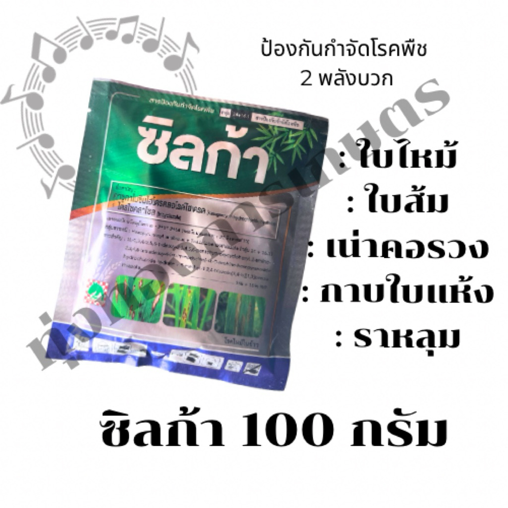 ซิลก้า 100 กรัม คาซูกาไมซินบวกไตรไซคลาโซน ป้องกันโรคพืช ในนาข้าว ไม้ผล