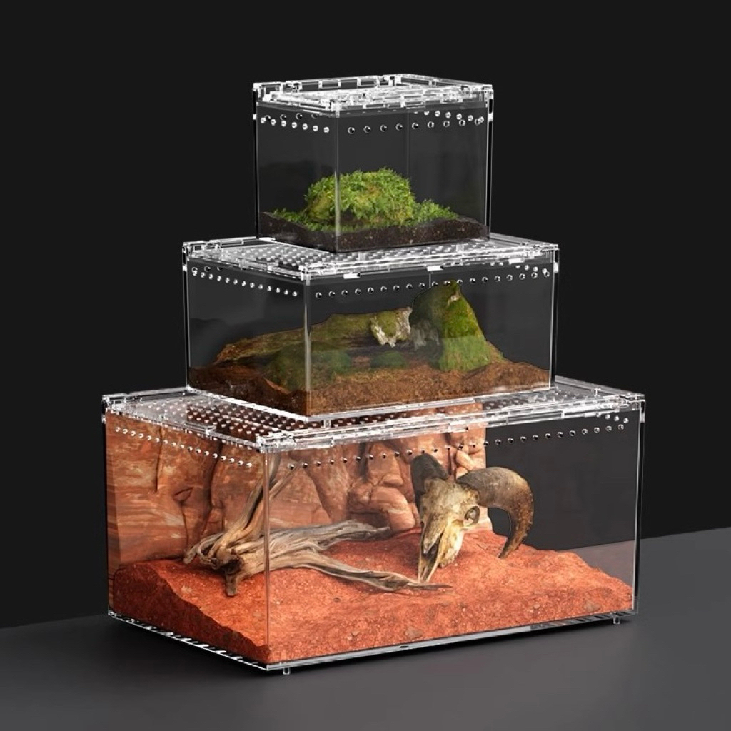 Barbarous Reptile Feeding Box กรงสำเร็จรูป พร้อมใช้ กันน้ำใส่น้ำได้ กล่องเลี้ยงสัตว์เลื้อยคลาน​ กบ​ งู​ ตะขาบ​ กิ้งก่า​