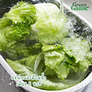กรีนแกนิค (GreenGanic) น้ำยาล้างผักผลไม้ (ขวดปั๊ม)