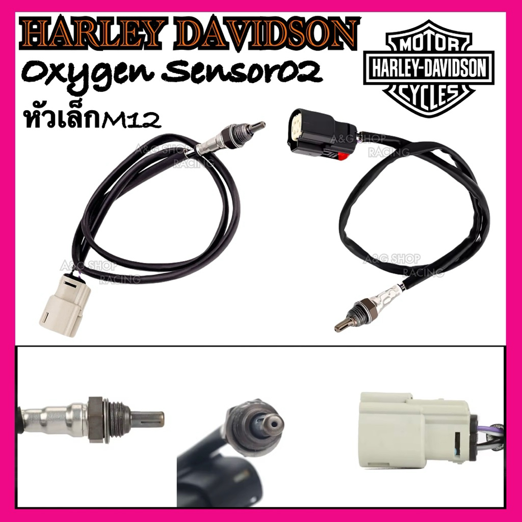 สายSensor O2 ทุกรุ่นHarley davidson เซ็นเซอร์O2สายออกซิเจน02 Sportster Dyna Softail Touring เซ็นเซอร