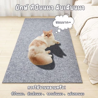 🐾 พรมลับเล็บแมว ที่ลับเล็บแมว ป้องกันรอยขีดข่วน สามารถยึดติดกับผนังผลิตภัณฑ์มาพร้อมกับกาวด้านหลัง มีกาวในตัว ที่ทนทาน