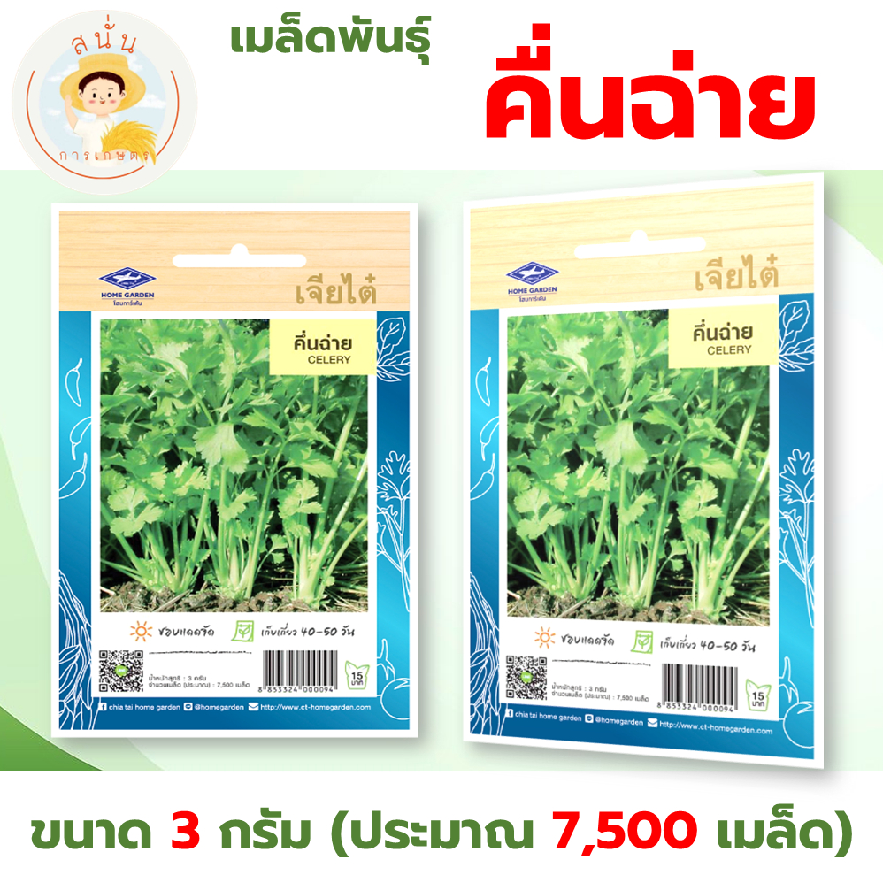เมล็ดพันธุ์ คื่นฉ่าย (Celery) ผักซอง เจียไต๋ OP ขนาด 3 กรัม (ประมาณ 7,500 เมล็ด)