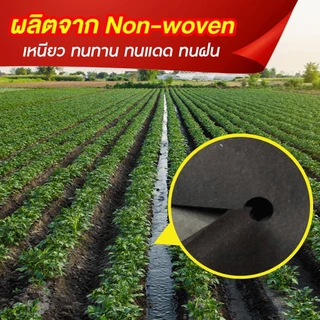 SGE ผ้าคลุมวัชพืช แบบวงกลม รุ่น CSC ผลิตจากวัสดุรีไซเคิลที่มีความเหนียวหนาพิเศษ ส่งไว ส่งถูกที่สุด!!