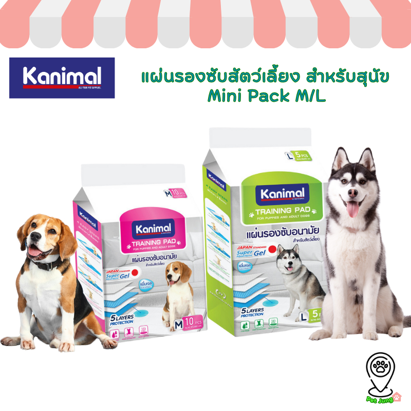 Kanimal Training Pad แผ่นรองฉี่สุนัข แผ่นรองซับสัตว์เลี้ยง สำหรับสุนัข Mini Pack M/L