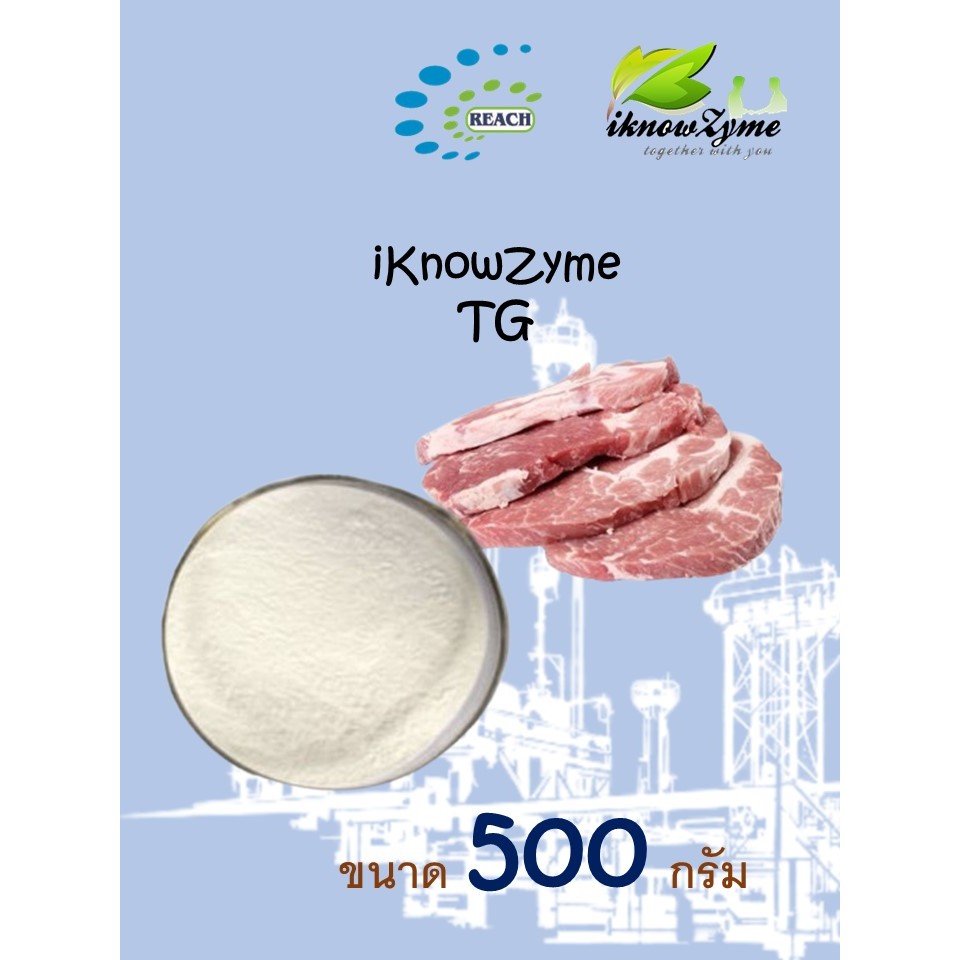 iKnowZyme TG  เอนไซม์ Tranglutaminase ขนาด 500 กรัม