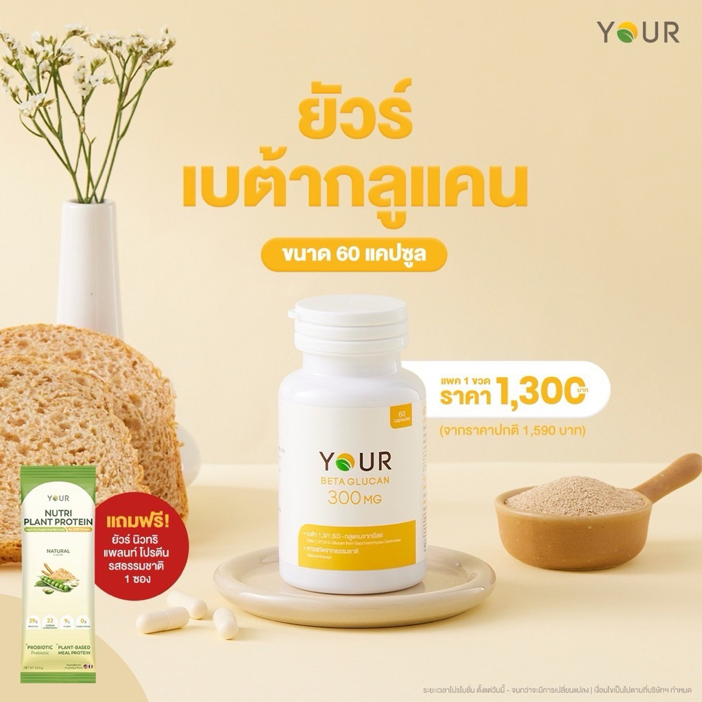 เบต้ากลูแคน  Your ยัวร์