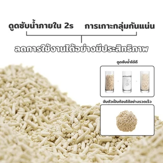 PetStern x Petcho ทรายแมวเต้าหู้ Cat Litter 40L. ผลิตจากกากถั่วเหลืองธรรมชาติ จับตัวเป็นก้อนเร็ว ทิ้งชักโครกได้