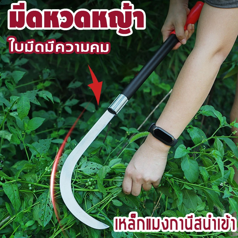 💥จัดส่งที่รวดเร็ว💥เคียวเหล็กแมงกานีส  แหลมคม จับถนัดมือดี  สำหรับเก็บเกี่ยวเกษตรและสวน