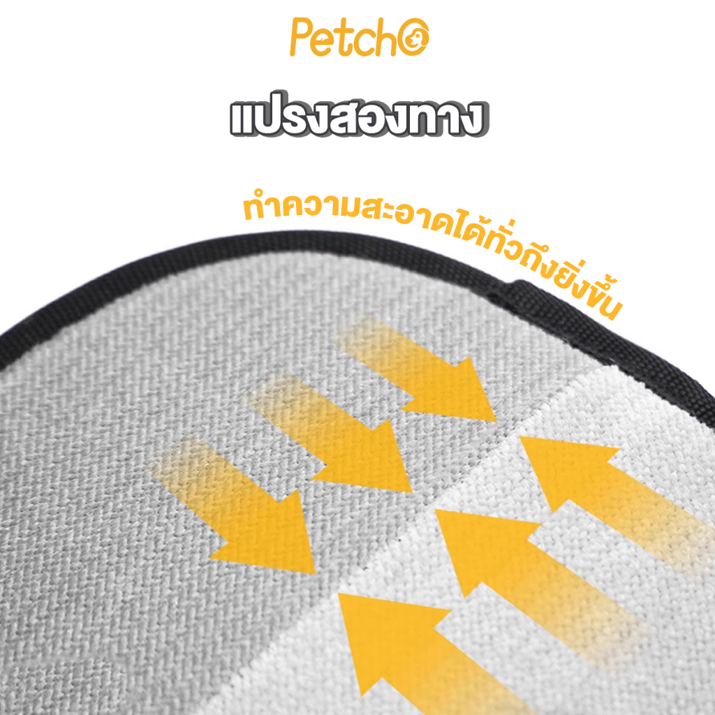 รูปภาพ 7