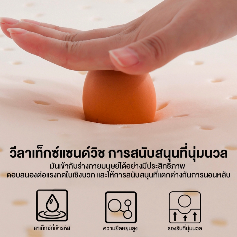 𝐋𝐀𝐓𝐀 ที่นอน ที่น