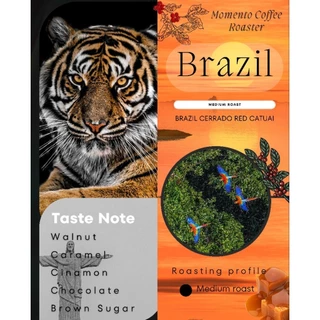 กาแฟคั่วกลางบราซิล 3 กิโลกรัม "Brazil Cerrado" Taste Walnut Caramel Chocolate Chinamon Brownsuga