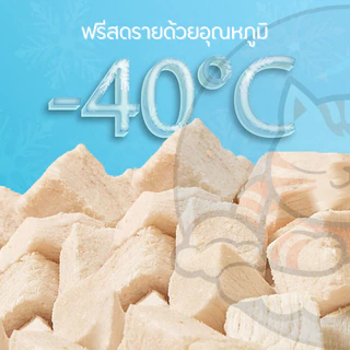 อกไก่เต๋า 500กรัม อกไก่ฟรีซดราย ไม่มีผง อกไก่เต๋าฟรีซดราย ไก่ฟรีซดราย ฟู้ดเกรด ขนมแมว ขนมสุนัข Cloudycat