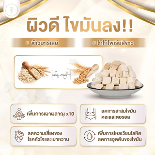 (เซต3+3แถมแก้ว)ชาลิลลี่ป่า🇳🇱มีอย. สูตรพรีเมี่ยมลดไvมัน แขนขา หน้าท้อง ลดคอเลสเตอรอล ลดบวมเร่งด่วน‼️ ไม่เห็นผลคืนเงิน💯