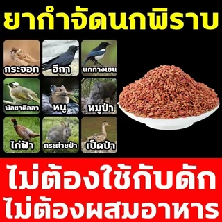 🕊️เห็นผลชัวร์100%🐦ยาเบื่อ นกพิราบ 500g ยาฆ่านกพิราบ ทำลายอวัยวะภายในตายใน 1ชม. แห้งเร็วและไม่มีกลิ่น ยากำจัดนกพิราบ