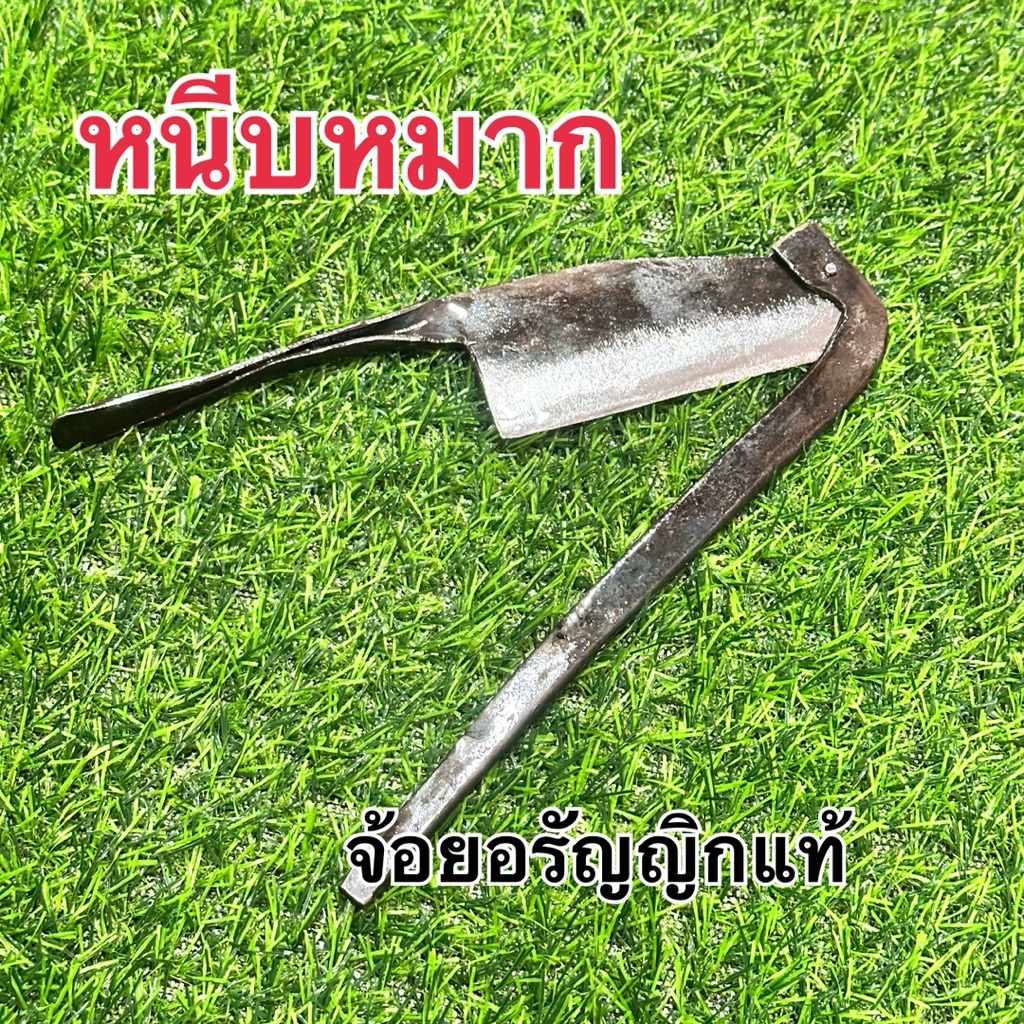 หนีบหมาก หั่นลูกหมาก เหล็กกล้า มีดอรัญญิก จ้อย อรัญญิกแท้ ဖယ်သီးစက်  ဖယ်သီးကိုလှဲသည်