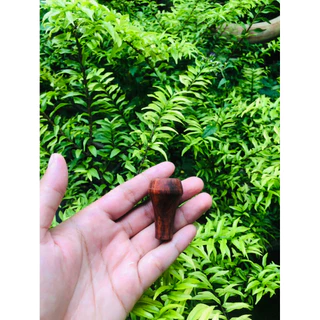 แก่นไม้diyสำหรับตกแต่งสวน