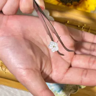 หมุดพินหัวกลม หมุดสแตนเลส 100 ชิ้น ขนาด24 มิล DIY