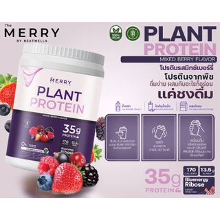 Merry Plant Protein Mixed Berries เดอะ เมอร์รี่ โปรตีนจากพืช รสมิกซ์เบอร์รี่ ขนาด 1050g