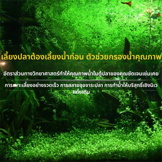 ชุดวัสดุกรองเทพ 10 in 1 ✨ ปรับน้ำใสใน 3 วัน | แถมฟรีสูงสุด 60 กรัม