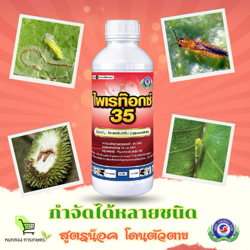 ไพเรท๊อกซ์ 35 1ลิตร ไซเพอร์เมทริน ไซเปอร์เมทริน สารกำจัดแมลง น็อค เพลี้ย หนอน