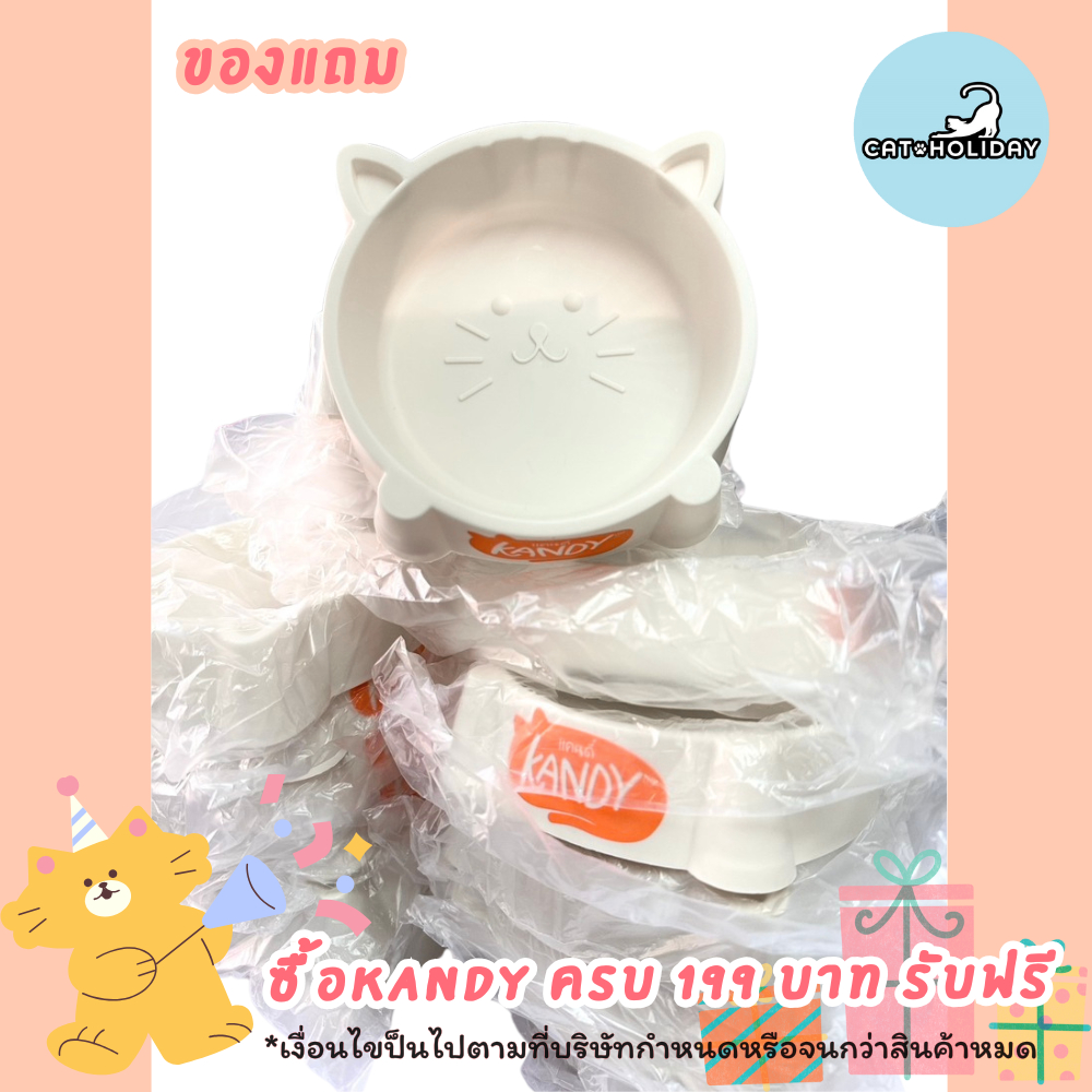 ชามอาหารสัตว์เลี้ยง Kandy: ของแถมสุดคุ้ม เพิ่มสุขอนามัยให้น้องแมว