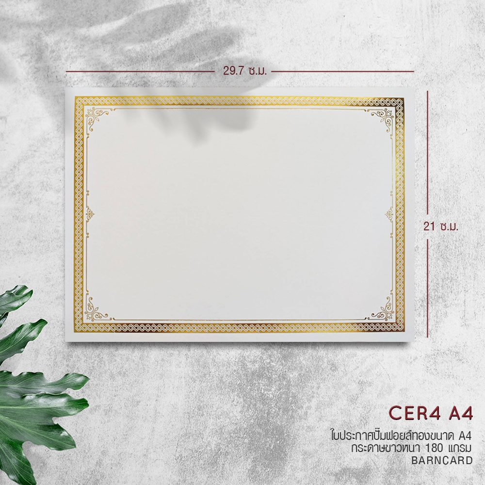 ใบประกาศนียบัตร ปั๊มทอง A4 180 g. 50 แผ่น ราคา ถูกที่สุด ดีลบีเคเค แกลเลอรีภาพที่ 6