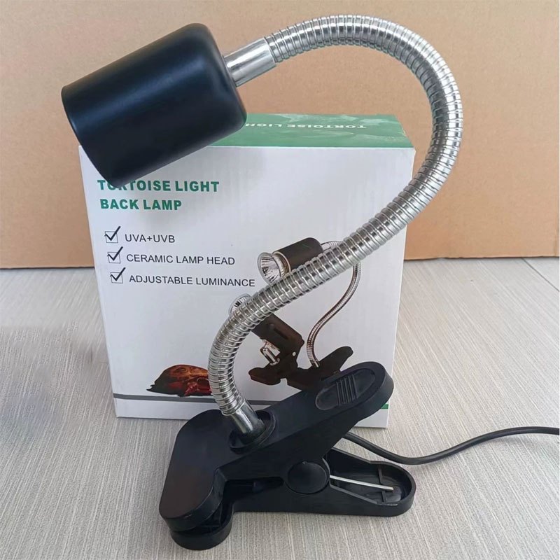 รูปภาพ 6