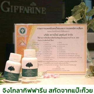 บ้านหมุน น้ำในหู เวียนศรีษะ เสียในหู พากิสัน อัลไซเมอร์ สมอง ความจำ จิงโกลากิฟฟารีน สกัดใบแป๊ะก๊วย