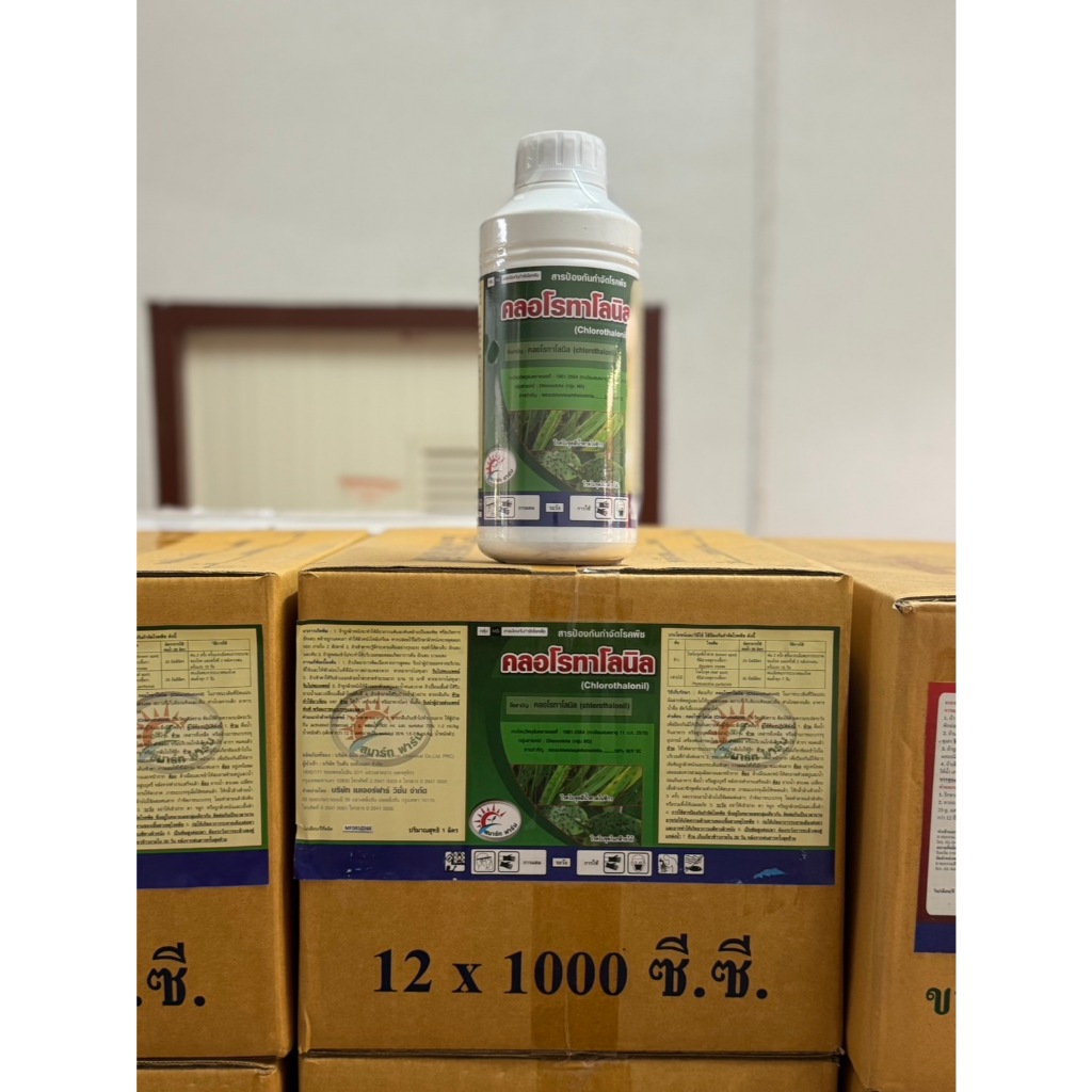 ยกลัง คลอโรทาโลนิล ขนาด 1 ลิตร (บรรจุด12x1ลิตร) กำจัดเชื้อราได้กว้างขวาง ใบไหม้ ใบจุด ราน้ำค้าง ราดำ ราแป้ง สแคป ผลเน่า