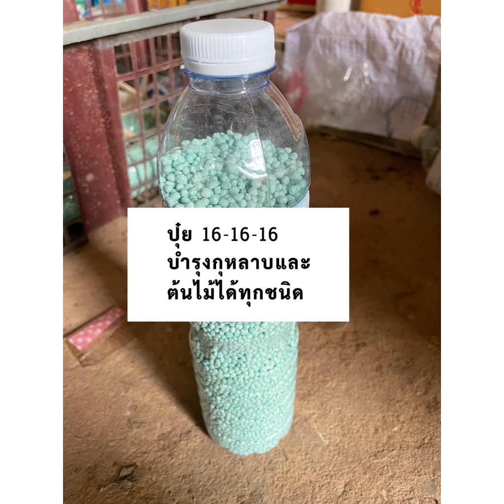 ปุ๋ย 16-16-16 บำรุงกุหลาบและต้นไม้อื่นได้ทุกชนิด