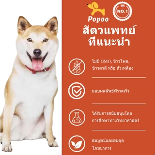 Popoo Multivitamins for Dogs Treats อาหารสุนัข วิตามิน ขนมสุนัข วิตามินรวมสุนัข บำรุงสะโพกและข้อต่อสุขภาพหัวใจ 120ชิ้น