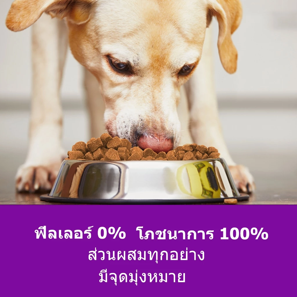 Popoo วิตามินบำรุงขนสุนัข Silky Fur Dog Treats Snack อาหารสุนัขเพื่อขนเงางาม ผิวหนังชุ่มชื้น ขนมหมา 120ชิ้น thumbnail 8