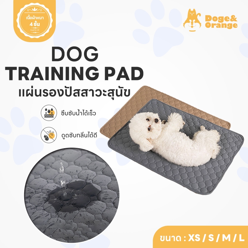 ลดล้างสต็อก แผ่นรองฉี่หมา แผ่นรองปัสสาวะสุนัข ที่ฝึกขับถ่าย ซักได้ สามารถใช้ซ้ำได้ ดูดซับน้ำ COD ST077
