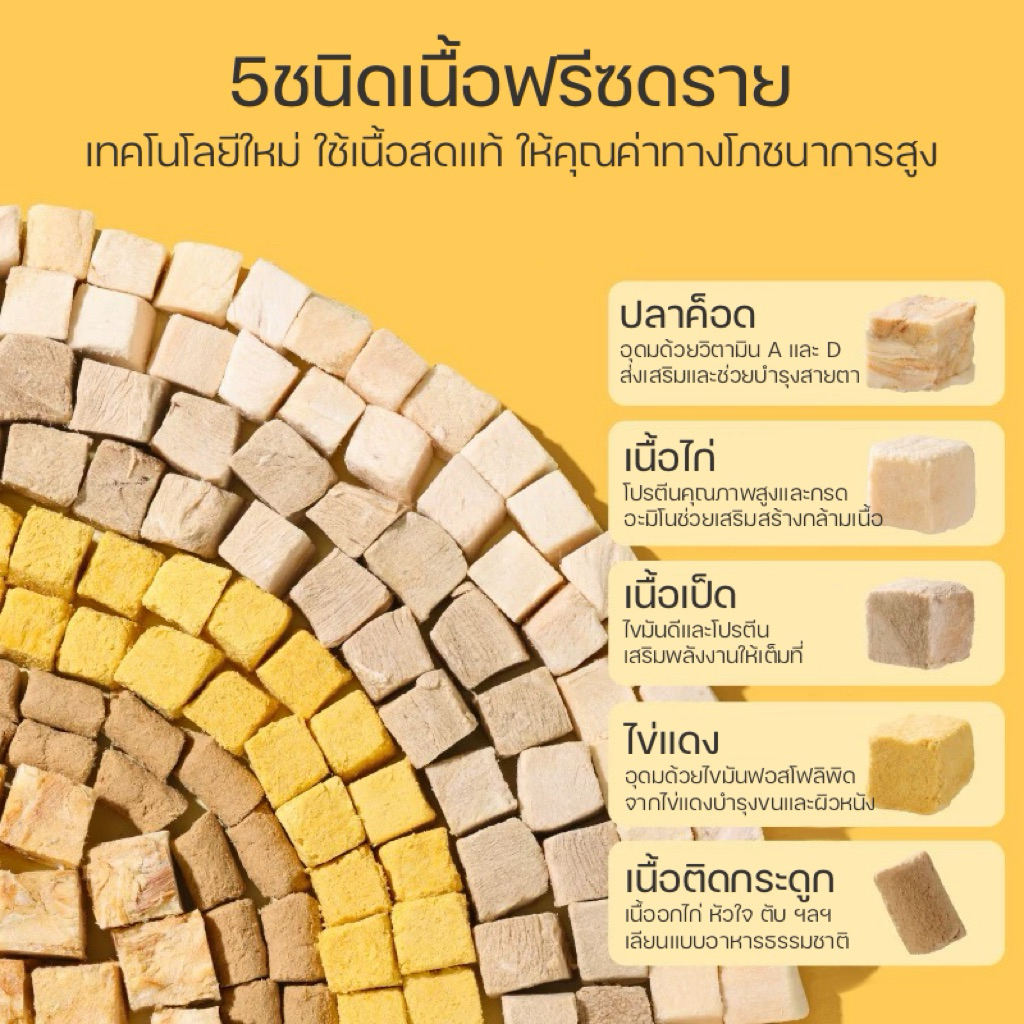 [Rodizoo] อาหารสูตรฟรีซดราย5ชนิด500g. อาหารแฮมสเตอร์ทุกสายพันธุ์ ไจแอนท์ แคระ แฟตเทล ดอร์เม้า สัตว์เลี้ยงขนาดเล็ก ราคา ถูกที่สุด ดีลบีเคเค แกลเลอรีภาพที่ 2