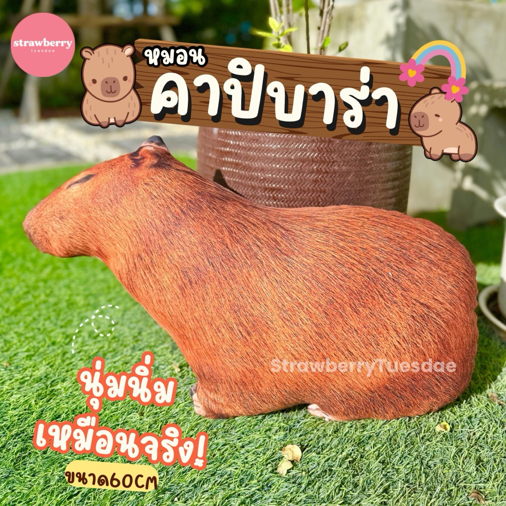 หมอนคาปิบาร่า หมอนพิมพ์ลายรูปสัตว์ หมอนอิงพิมพ์ลาย หมอนสกรีนรูปคาปิบาร่า ขนาด60cm