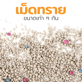 ทรายแมวเบนโทไนท์ Petus 5 ลิตร จับตัวเป็นก้อนเร็ว ระงับกลิ่นดี ฝุ่นน้อย ไม่ติดเท้า มีให้เลือก 5 กลิ่น