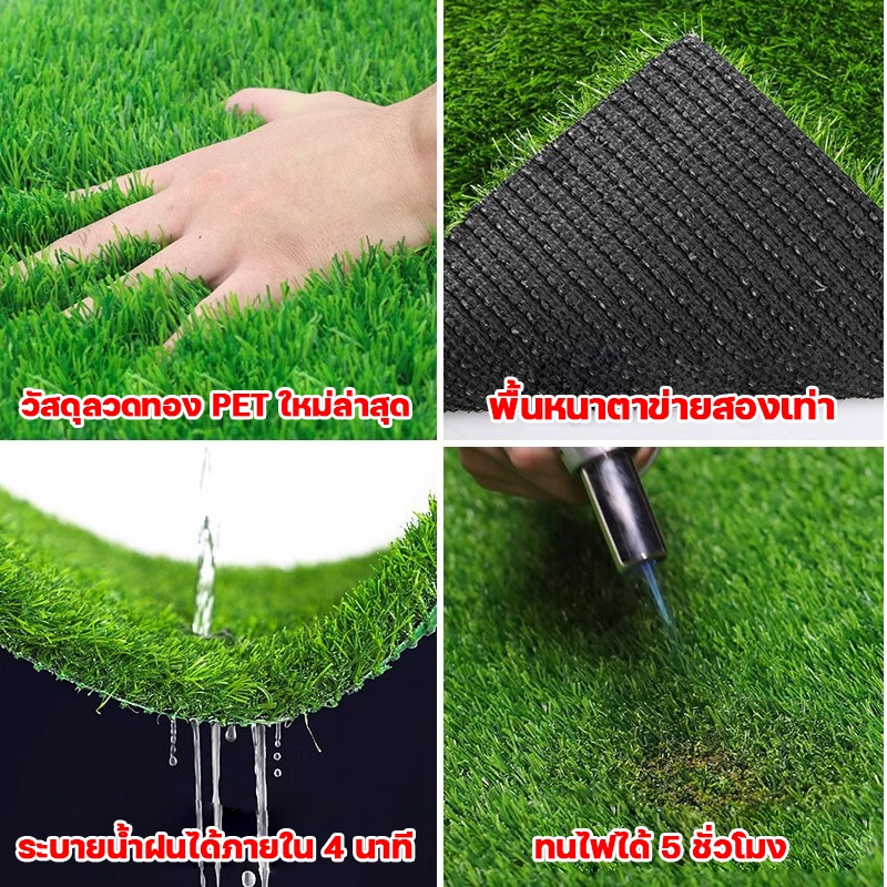 รูปภาพ 7