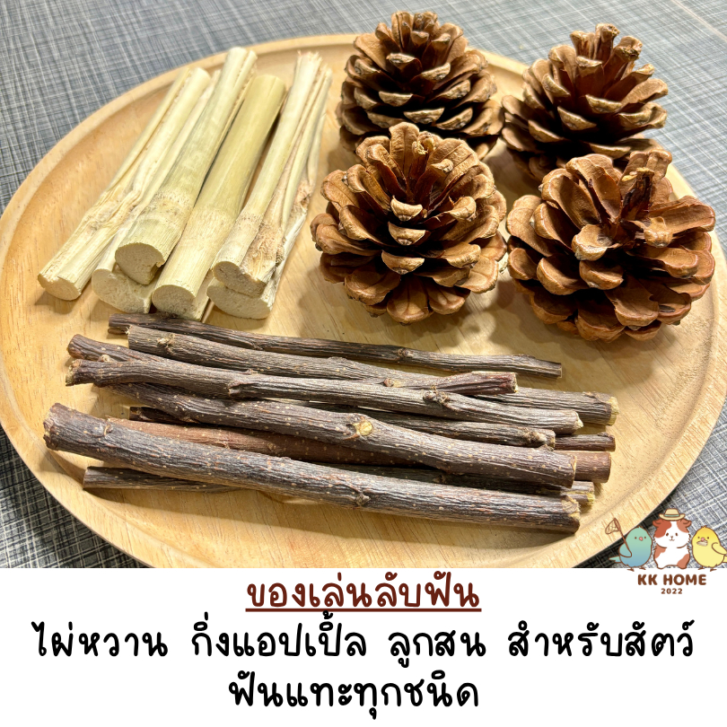 ไผ่หวาน กิ่งแอปเปิ้ล ลูกสน ลับฟันสำหรับสัตว์ฟันแทะ เช่น กระต่าย กระรอก หนูแก๊สบี้ ชินชิลา หนูแฮมเตอร์