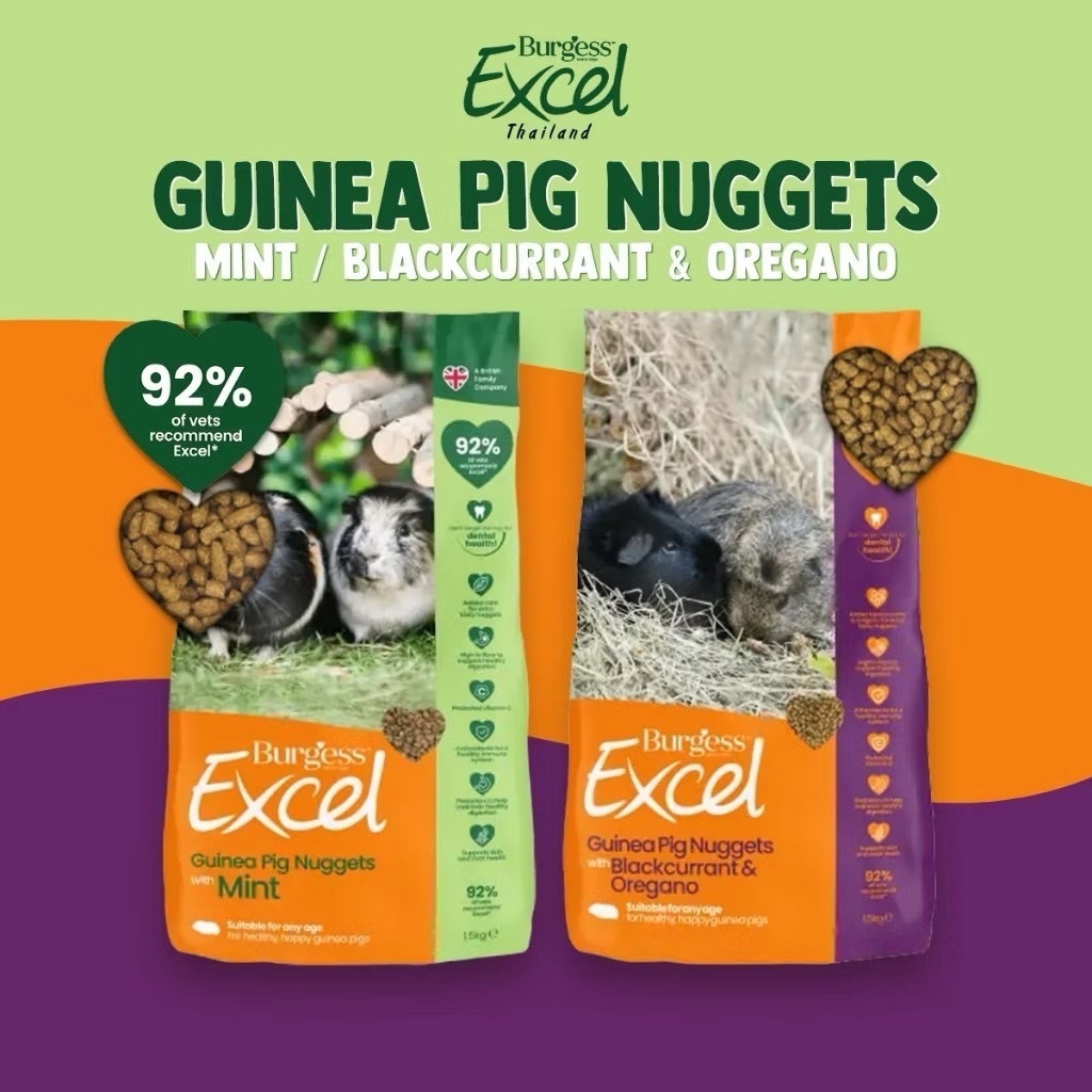 อาหารหนูแกสบี้ เควี่ จากประเทศจากอังกฤษ วิตามินซีสูง ลดท้องอืด Excel Guinea Pig Nuggets